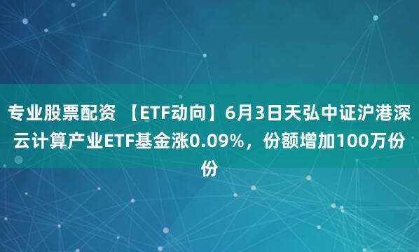 专业股票配资 【ETF动向】6月3日天弘中证沪港深云计算产业ETF基金涨0.09%，份额增加100万份