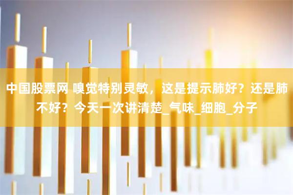 中国股票网 嗅觉特别灵敏，这是提示肺好？还是肺不好？今天一次讲清楚_气味_细胞_分子