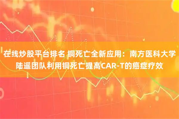 在线炒股平台排名 铜死亡全新应用：南方医科大学陆遥团队利用铜死亡提高CAR-T的癌症疗效