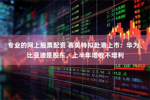 专业的网上股票配资 赛美特拟赴港上市：华为、比亚迪是股东，上半年增收不增利